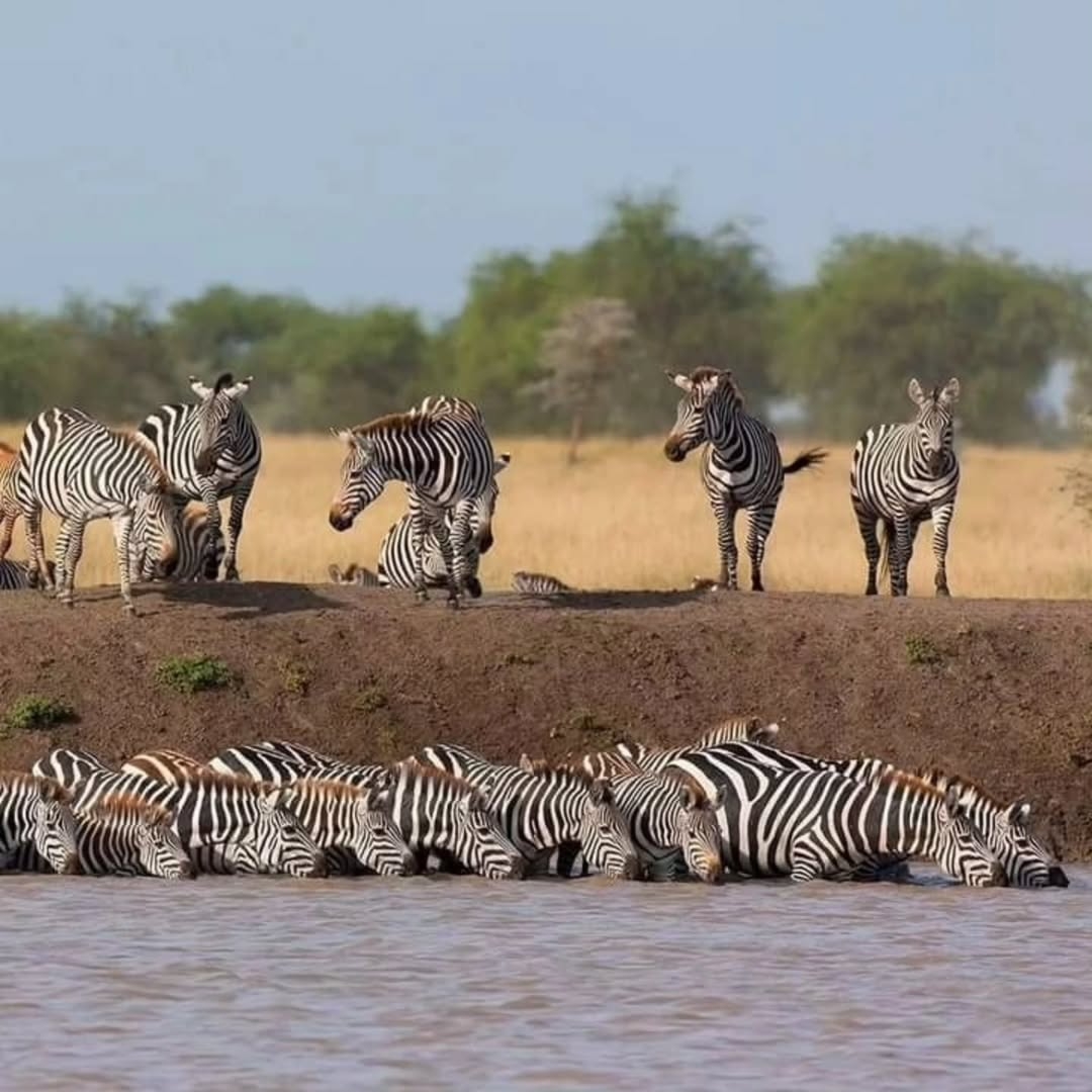 Tanzania Northern Circuit